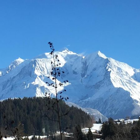 Les 4 Vallees Hotel Albertville Exterior photo